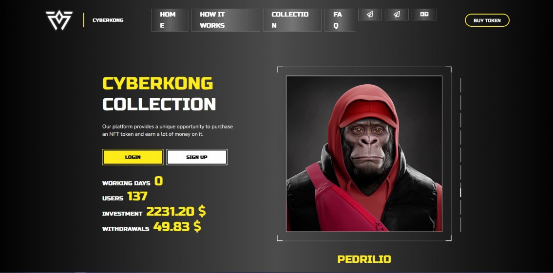 Cyberkong