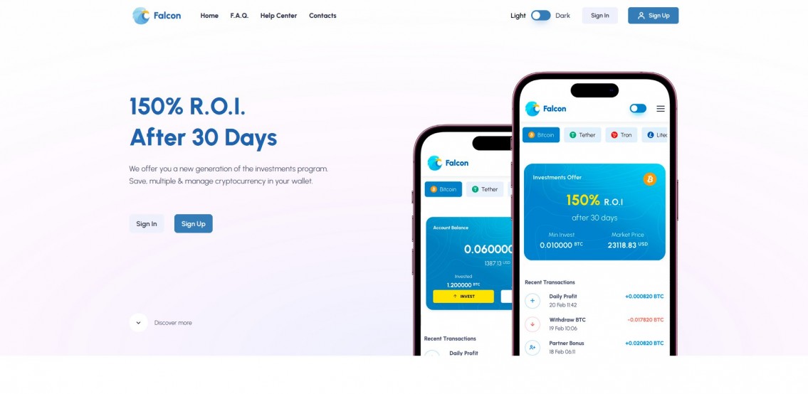 Falcon Investments